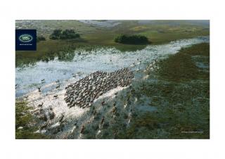 Y&R South Africa: Land Rover Herds 'Wetlands'
